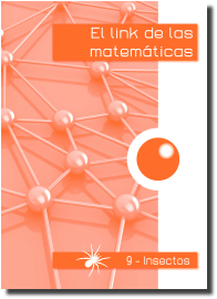 09 – Insectos (4º)